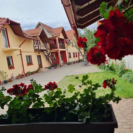 Vila Vladut Зэрнешти Экстерьер фото