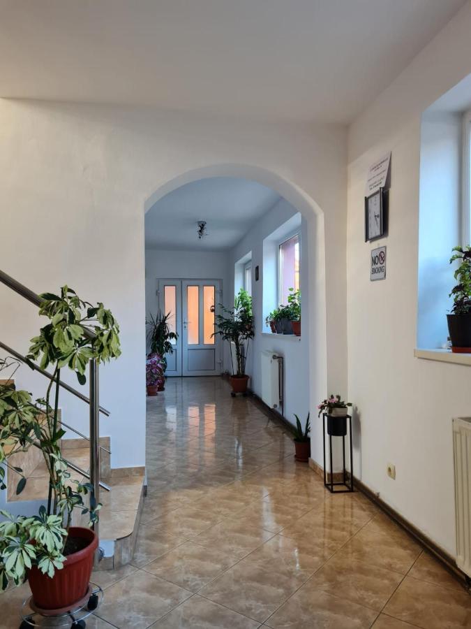 Vila Vladut Зэрнешти Экстерьер фото