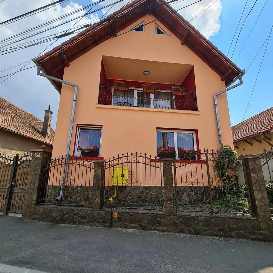 Vila Vladut Зэрнешти Экстерьер фото