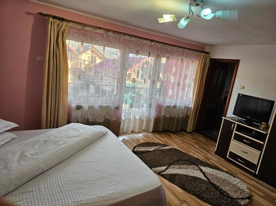 Vila Vladut Зэрнешти Экстерьер фото